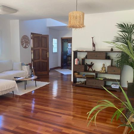 Готель Xanadu Coliving Санта-Урсула Екстер'єр фото