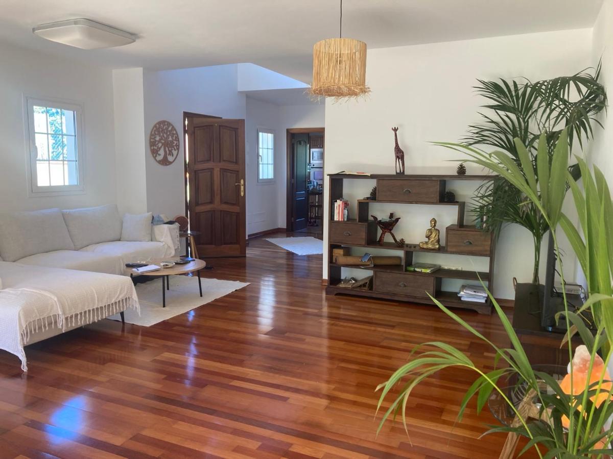 Готель Xanadu Coliving Санта-Урсула Екстер'єр фото
